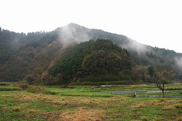 明日香風